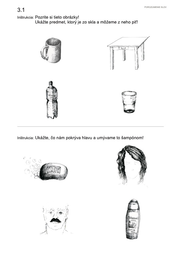 3_1_Identifikácia obrázku podľa počutej definície